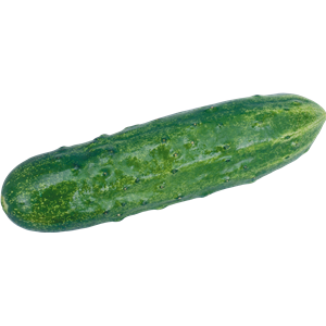 Cucumber PNG-12608